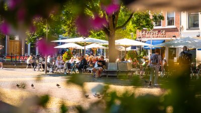 Terras in sneek