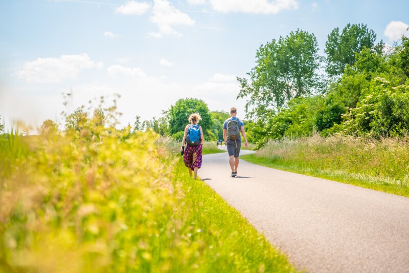 Camperplaats aan het water wandelen sneek